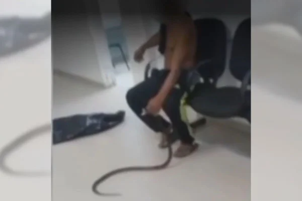 Homem sem camisa segura uma cobra. Ao lado uma sacola plástica preta