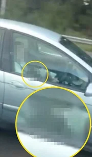  O casal parece não ter se importado de ser pego na câmera