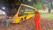 Van escolar transportava 27 crianças e uma monitora quando bateu em uma árvore