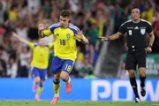 Suécia busca classificação no mata-mata da Copa contra a Holanda - imagem 2