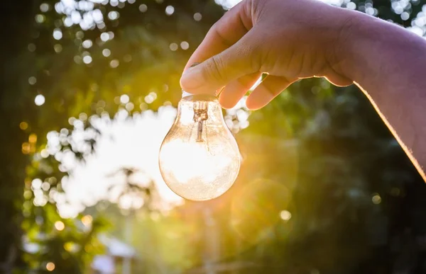 CEB lança campanha para combater o desperdício de energia