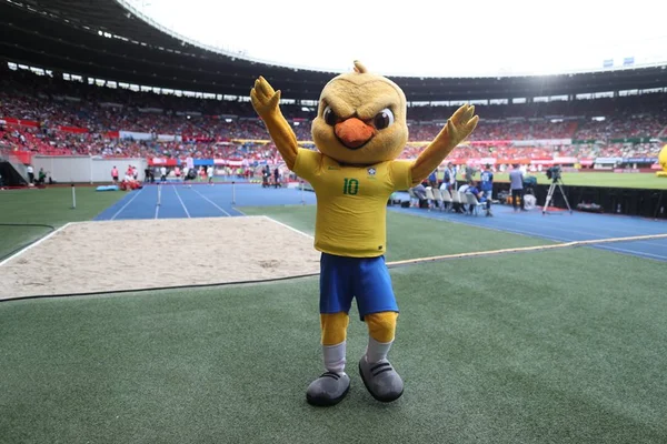 Canarinho Pistola é barrado em jogos do Brasil na Copa; entenda