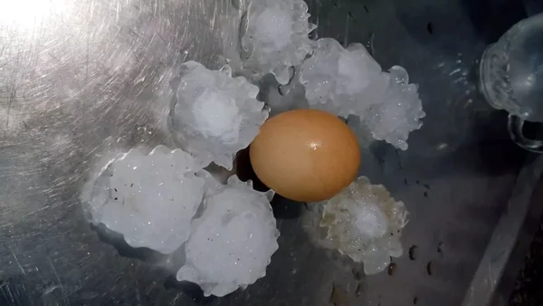 Imagem colorida de granizo ao lado de ovo - Metrópoles