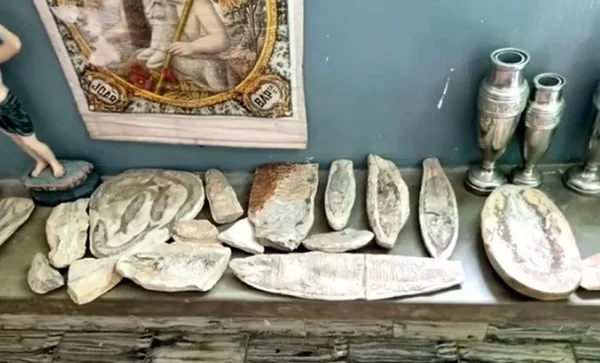 Fósseis são apreendidos na casa de padre