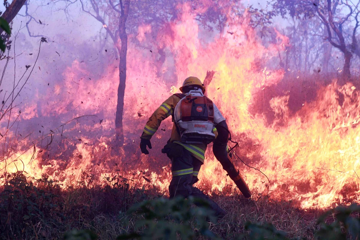 Incêndios no DF Disparam: 46 Ocorrências em Uma Tarde Sinalizam Alerta