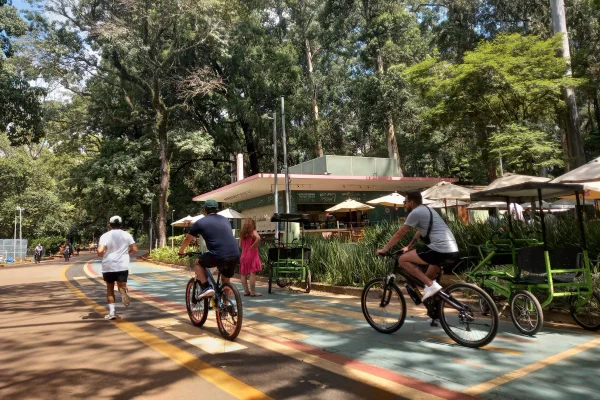 Imagem mostra pessoas no Parque Ibirapuera - Metrópoles