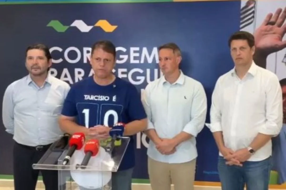 Petista denuncia Salles por usar verba pública a favor de André e Derrite