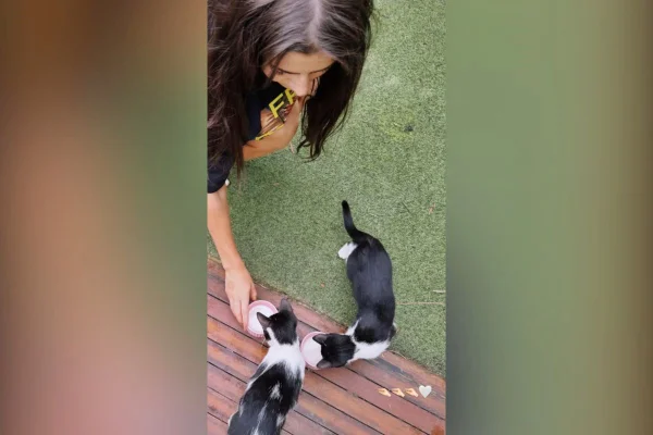 Jade Picon e gatos