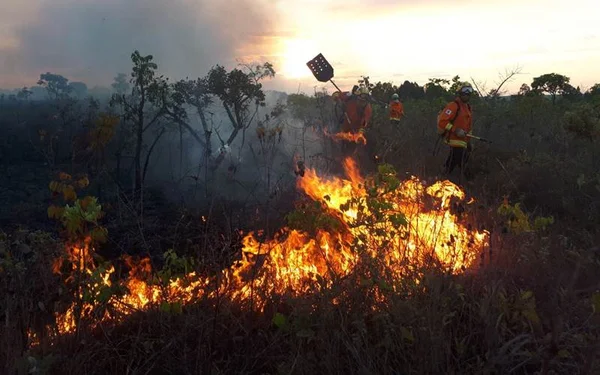 Incêndio atinge vegetação no Setor Militar Urbano