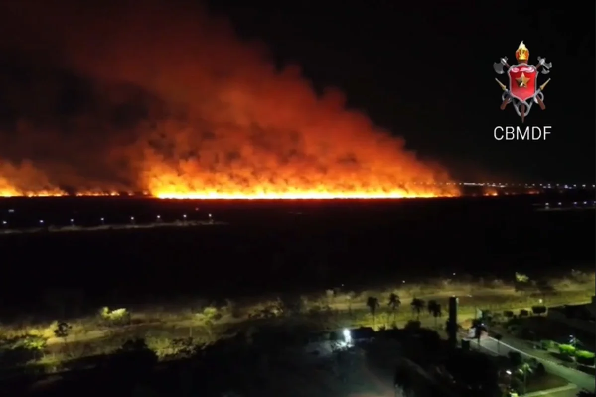 Incêndio Florestal Causa Barreira de Fogo e Mobiliza Bombeiros em Área de Cerrado