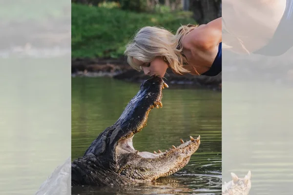 Estudante faz fotos de formatura beijando jacaré de 4,5 metros