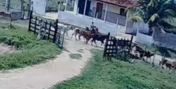 Criança salva primo
