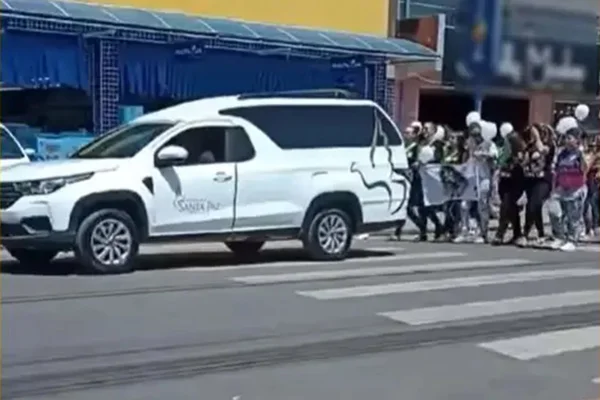 Imagem colorida mostra cortejo a mãe e filhos no parana - metropoles