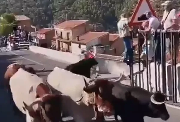Mulher de 64 anos morre após ser atacada por touro na Espanha