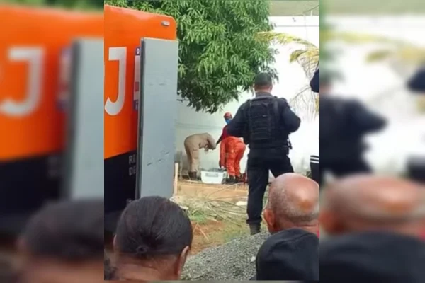 Veja onde adolescente escondeu corpos dos pais e irmão após os matar