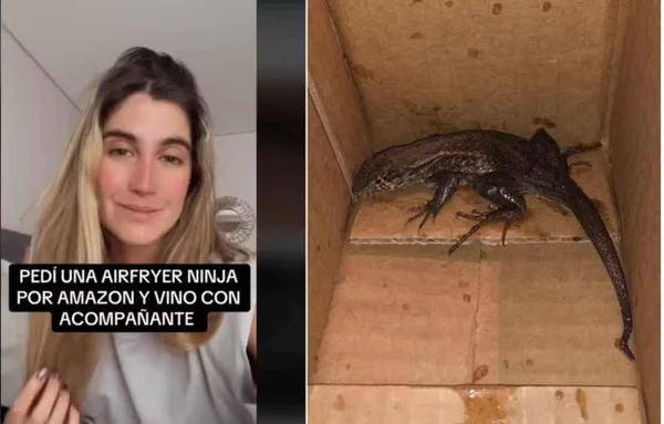 imagem colorida. air frayer, reptil