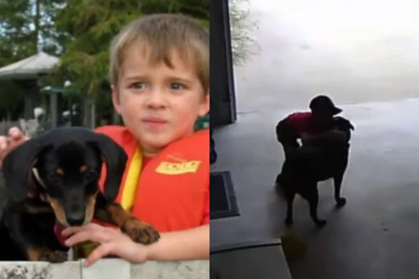 Vídeo fofo: menino “invade” garagem da vizinha para brincar com pet