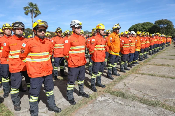 Operação Verde Vivo 2026