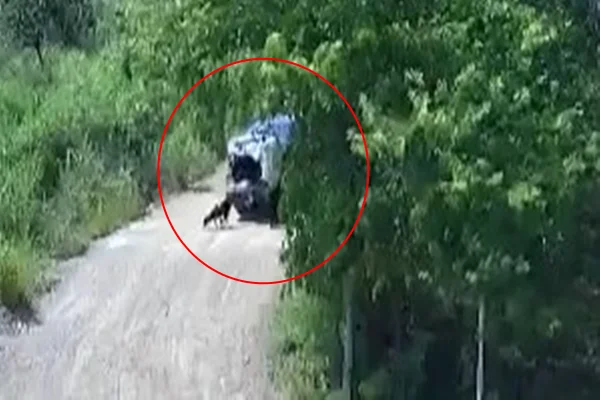 Câmeras regisram momento em que homem abre porta malas de carro e abandona cachorro em rua