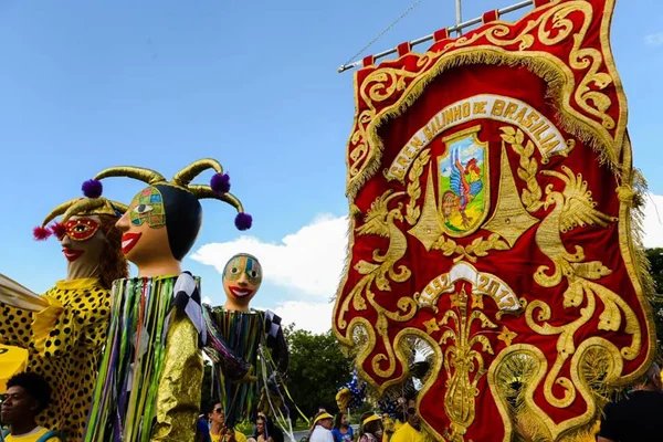 Liga dos Blocos Tradicionais do DF pede que folia do Carnaval 2021 ocorra em agosto