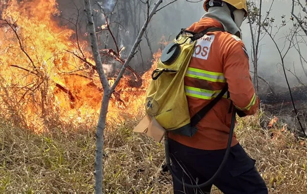 Bombeiro combatendo incêndio florestal