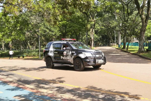 Imagem mostra Parque Ibirapuera - Metrópoles