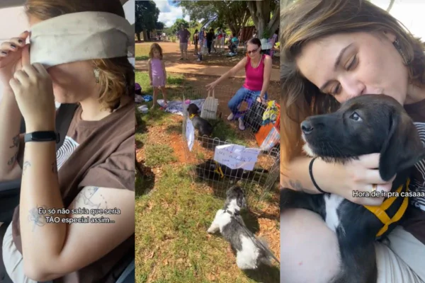 TikTok/Reprodução