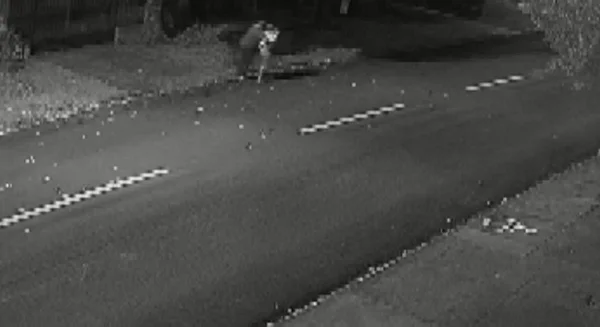 PR: vídeo mostra homem arrastando mulher até terreno para estuprá-la