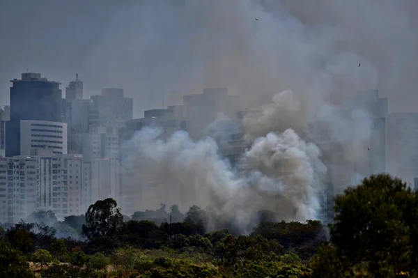 Incêndio atinge Parque Ecológico de Águas Claras e assusta moradores