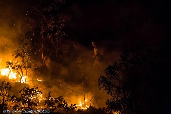 Incêndio fecha Parque da Chapada dos Veadeiros no feriado