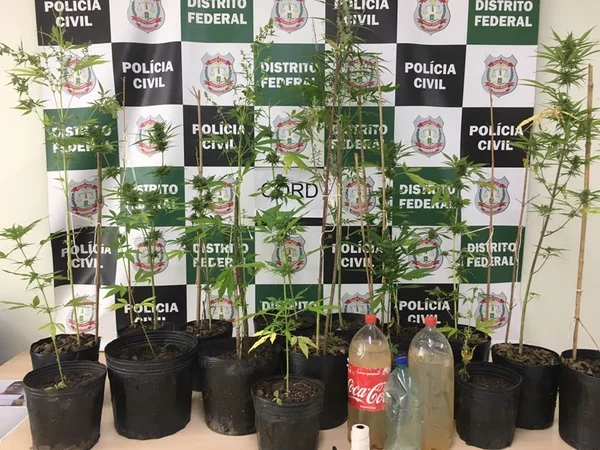 Para delegado, UnB é tolerante com consumo de drogas no campus