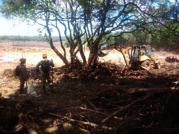 Nova contagem indica 84 mortos e 276 desaparecidos em Brumadinho