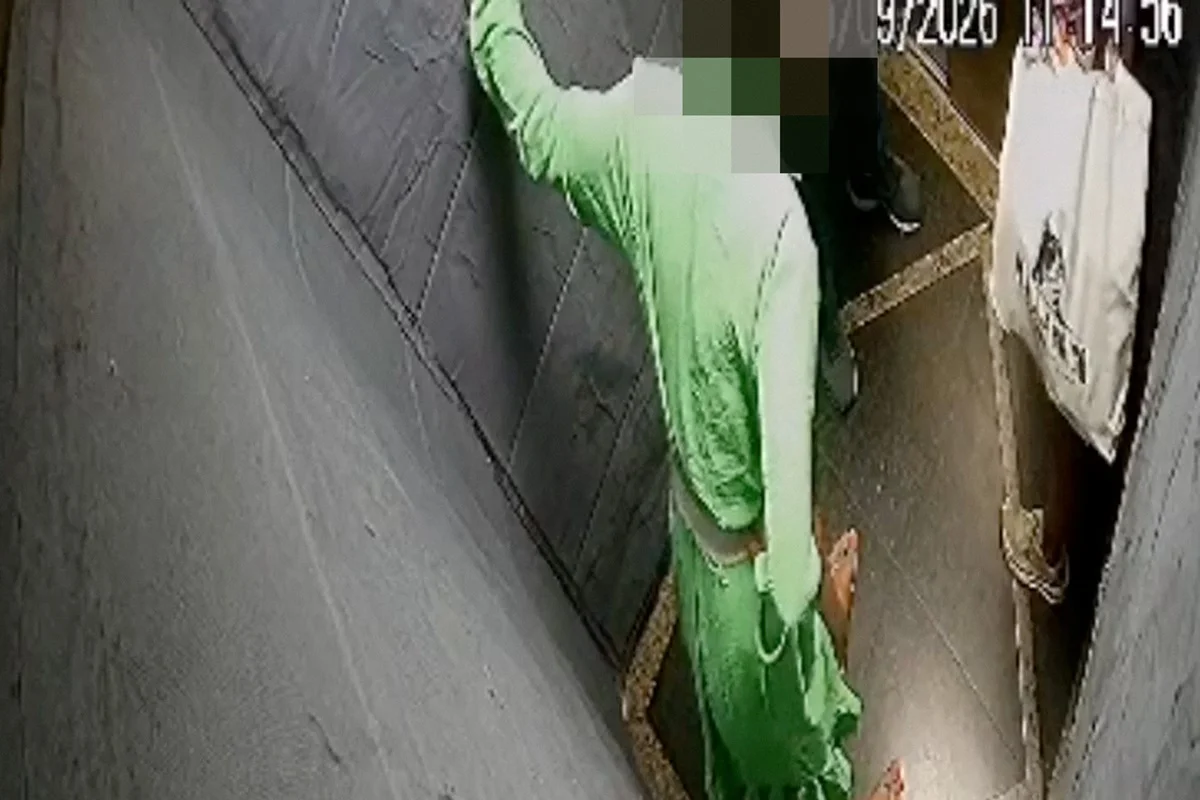 Advogada que diz ser casada com Elon Musk encurralou vizinha em elevador