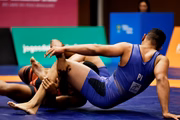 Wrestling 