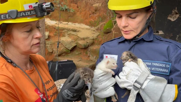 Voluntárias do Grad com gatinhos nas mãos. Juiz de Fora