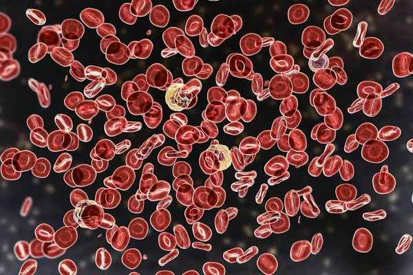 Ilustração de células do sangue - Metrópoles