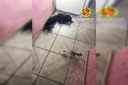 Garrafa de bebida alcoólica e um tufo de cabelo no chão Garrafa de bebida alcoólica e um tufo de cabelo no chão