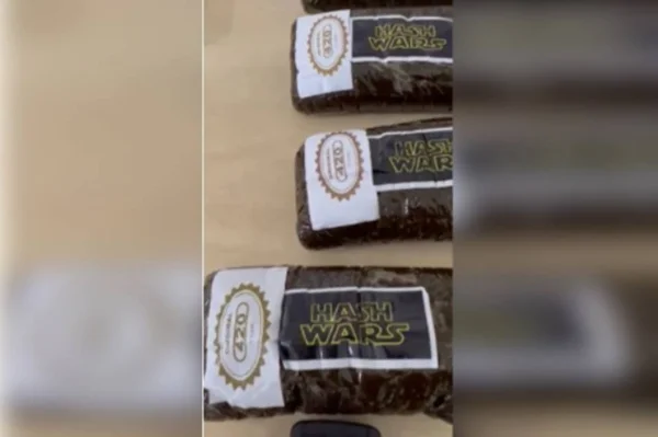 maconha apreendida