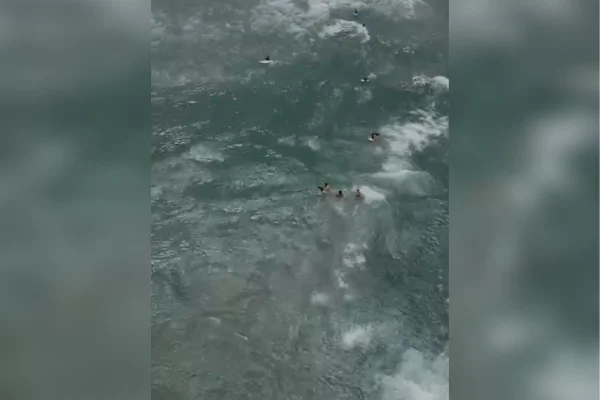 imagem mostra turistas no meio do mar - metrópoles