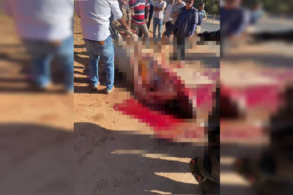 Foto colorida de pessoas amontoadas ao redor de carcaça de boi