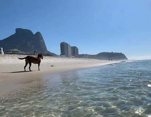 Mais conectadas, praias ganham Wi-fi e cenários “instagramáveis”