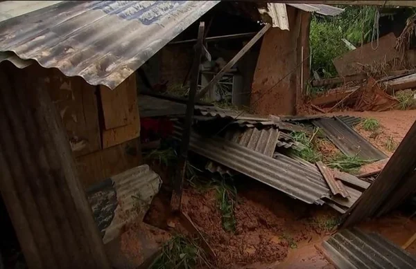 Cachorra morre soterrada após salvar família de deslizamento de terra