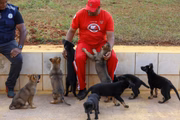 Além de guiarem pessoas com deficiência visual, cachorros vão auxiliar pessoas diagnosticadas com Transtorno do Espectro Autista (TEA) Além de guiarem pessoas com deficiência visual, cachorros vão auxiliar pessoas diagnosticadas com Transtorno do Espectro Autista (TEA)