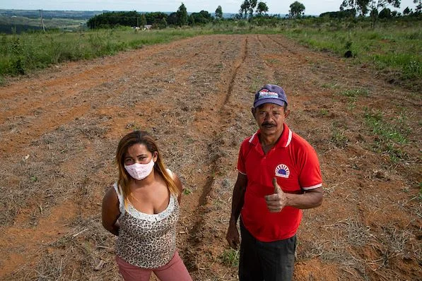 Pequenos produtores rurais têm queda de até 50% da renda na pandemia