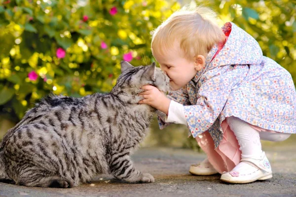 Uma criança beijando um gatinho