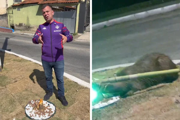 Montagem com fotos coloridas do prefeito Luiz Furlani (PL) e da capivara - Metrópoles