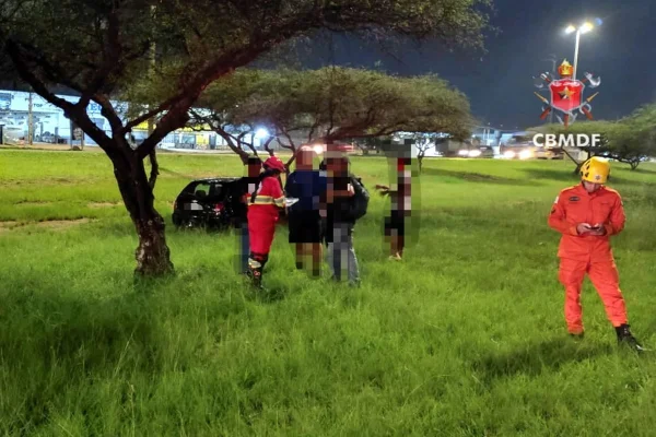 Motorista mata homem atropelado, perde controle e bate carro em árvore