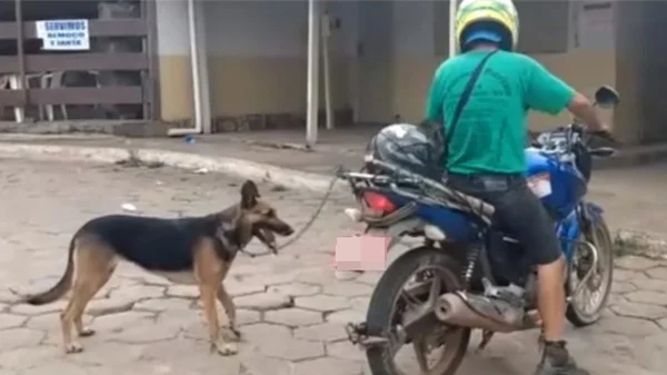 Homem é preso após ser flagrado amarrando e arrastando cadela em moto: ‘Olha a situação’