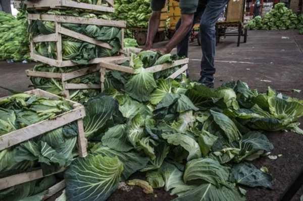 Aplicativo combate desperdício de comida por geolocalização