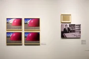 A exposição conta com curadoria de Marcus Lontra, Marília Panitz e Rafael Peixoto